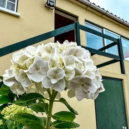 Apartmán Luana House Biscoitos (Terceira)