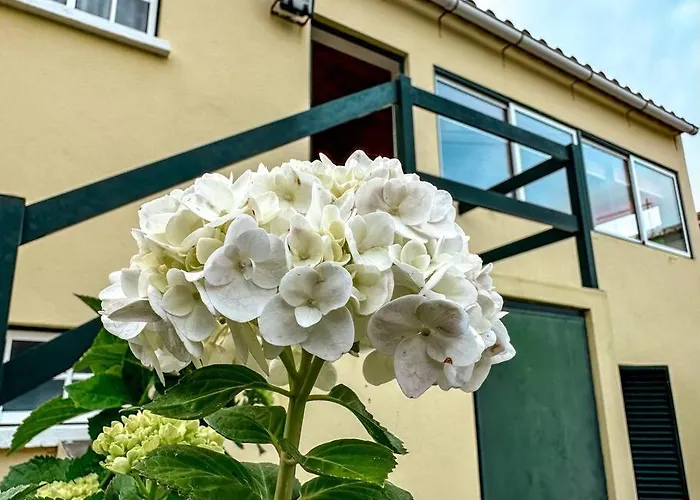 아파트 Luana House Biscoitos (Terceira)